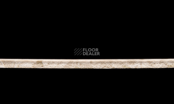 Tarkett Primo Plus 301 фото 3 | FLOORDEALER