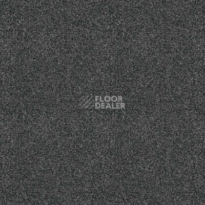 Ковролин Haima Lounge x 3611 фото 1 | FLOORDEALER