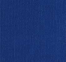 Ковролин Tapibel Ascot 3553 фото 1 | FLOORDEALER