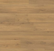 Ламинат Haro Tritty 100 Campus 4V ДУБ ЭМИЛИЯ МЕДОВЫЙ 541541 фото 1 | FLOORDEALER