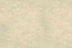 Ковролин Выставочный Ковролин Спектра 500 фото  | FLOORDEALER