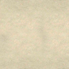 Ковролин Выставочный Ковролин Спектра 500 фото 1 | FLOORDEALER