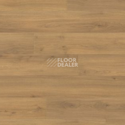 Ламинат Haro Tritty 100 Campus 4V ДУБ ЭМИЛИЯ МЕДОВЫЙ 541541 фото 1 | FLOORDEALER