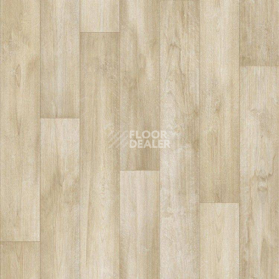 Линолеум Tarkett Европа GARDA 1 фото 1 | FLOORDEALER