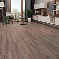 Alpine Floor Albero 10мм A1025 ДУБ МЕЛАНГА фото 2 | FLOORDEALER