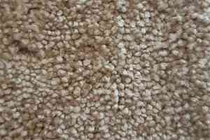 Ковролин Condor Carpets Dynasty 92 фото  | FLOORDEALER