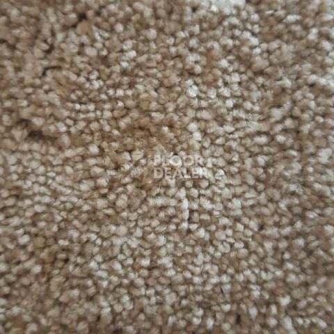 Ковролин Condor Carpets Dynasty 92 фото 1 | FLOORDEALER