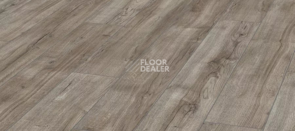 Ламинат Kronotex Aqua Amazone 10мм D3662 Дуб Монтмело серебряный фото 1 | FLOORDEALER