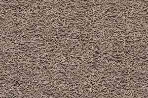 Ковролин Balta ITC Famoso 43 фото  | FLOORDEALER