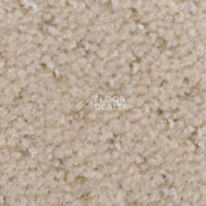 Ковролин Infloor Como 850 фото 1 | FLOORDEALER