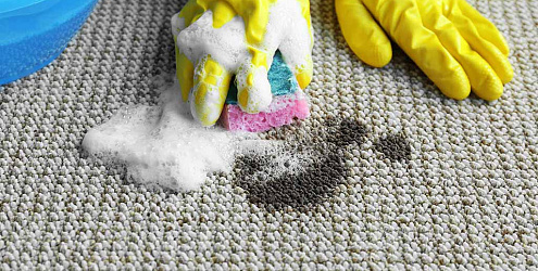Плесень на ковролине. Как избавиться?