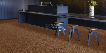 Associated Weavers Maxima 85 фото 2 | FLOORDEALER