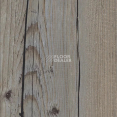 Кварцвиниловые полы Maximus Plank Norwegian Wood Thunder фото 1 | FLOORDEALER