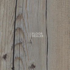 Кварцвиниловые полы AW Invictus Maximus Plank Norwegian Wood Thunder фото 1 | FLOORDEALER
