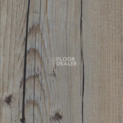Кварцвиниловые полы AW Invictus Maximus Plank Norwegian Wood Thunder фото 1 | FLOORDEALER
