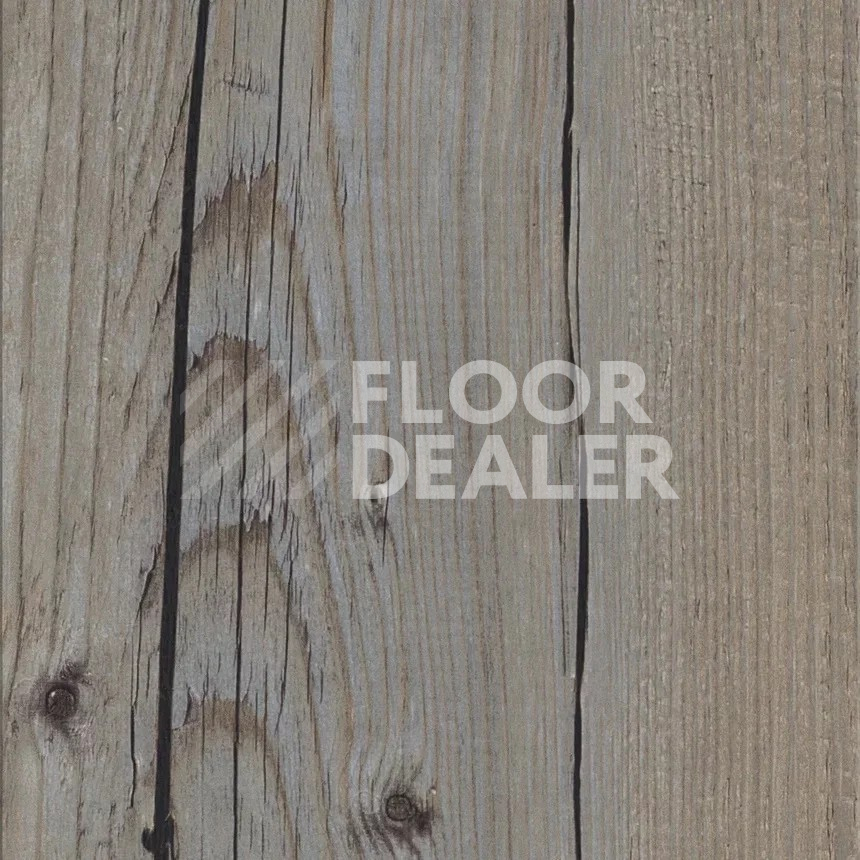 Кварцвиниловые полы Maximus Plank Norwegian Wood Thunder фото 1 | FLOORDEALER