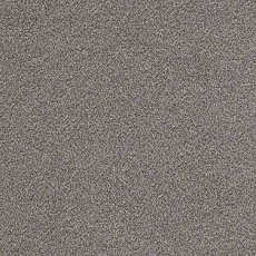 Ковролин AW Confidence 95 фото 1 | FLOORDEALER