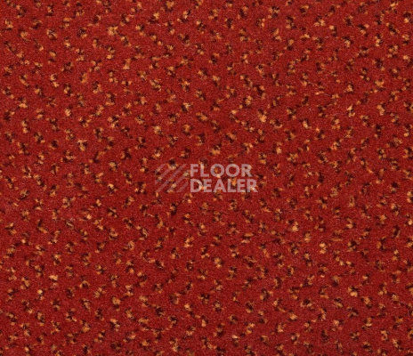 Ковролин Big Venezia 452 фото 1 | FLOORDEALER