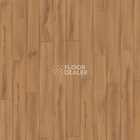 Kronotex Exquisit 8мм d80072 Дуб Фермерский Натуральный фото 2 | FLOORDEALER