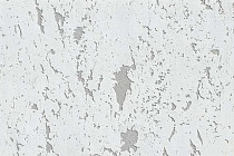 Пробковое покрытие Corkstyle Mountain настенное SPLIT фото 1 | FLOORDEALER