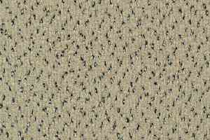 Ковровая плитка Tecsom 4700 Elegance 00063 фото  | FLOORDEALER