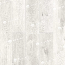 Кварцвиниловые полы Alpine Floor Premium XL Дуб Белая ночь ABA ECO 7-2 фото 1 | FLOORDEALER