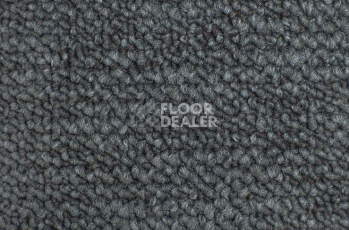 Desso Desert 9510 фото 2 | FLOORDEALER