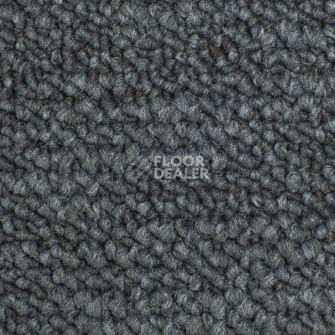 Desso Desert 9510 фото 2 | FLOORDEALER