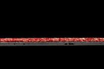 Standard Carpets Spectrum sm 527 фото 4 | FLOORDEALER