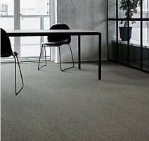 Interface Polichrome Solid