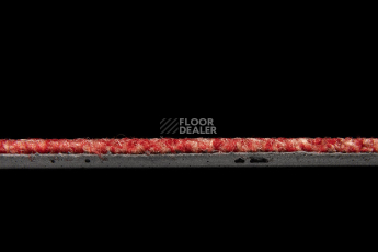 Standard Carpets Spectrum sm 527 фото 4 | FLOORDEALER