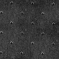 Balta ITC Palace New 99 фото 1 | FLOORDEALER