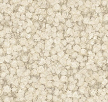 Линолеум Tarkett Fleur ROSE1 фото 1 | FLOORDEALER