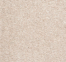 Ковролин Balta Splendid Saxony Splendid Saxony 0670 фото 1 | FLOORDEALER