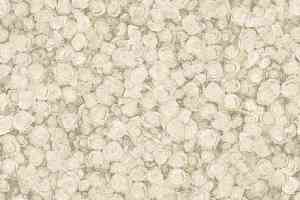 Линолеум Tarkett Fleur ROSE1 фото  | FLOORDEALER