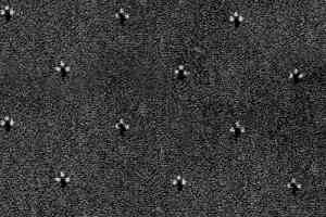 Ковролин Balta ITC Palace New 99 фото  | FLOORDEALER