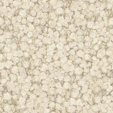 Линолеум Tarkett Fleur ROSE1 фото 1 | FLOORDEALER