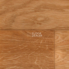 Линолеум Tarkett Acczent Timber OAK 01 (300001) фото 1 | FLOORDEALER