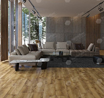 Classen Arteo 8 M 62755 Дуб Котор фото 5 | FLOORDEALER