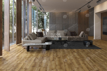 Classen Arteo 8 M 62755 Дуб Котор фото 5 | FLOORDEALER