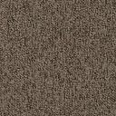 Ковролин Vorwerk Passion 1005 Vorwerk 7f86  | FLOORDEALER