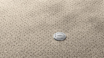 Ковролин Vorwerk Superior 1071 Vorwerk 5y37 фото 1 | FLOORDEALER