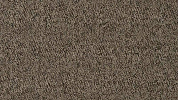 Ковролин Vorwerk Passion 1005 Vorwerk 7f86 фото 1 | FLOORDEALER