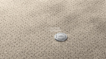 Ковролин Vorwerk Superior 1071 Vorwerk 5y37 фото 1 | FLOORDEALER