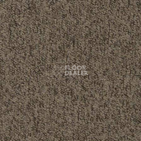 Ковролин Vorwerk Passion 1005 Vorwerk 7f86 фото 1 | FLOORDEALER