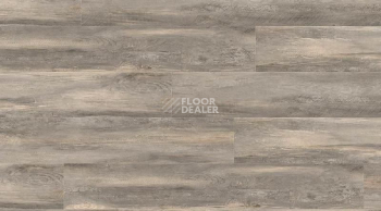 Кварцвиниловые полы Creation 55 0856_Paint_Wood_Taupe фото 1 | FLOORDEALER