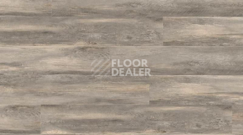 Кварцвиниловые полы Gerflor Creation 55 0856_Paint_Wood_Taupe фото 1 | FLOORDEALER