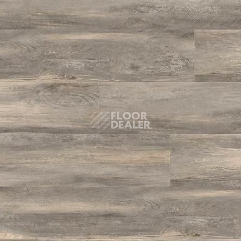 Кварцвиниловые полы Gerflor Creation 55 0856_Paint_Wood_Taupe фото 1 | FLOORDEALER