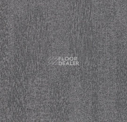Ковровая плитка Forbo Flotex Colour Penang 50*50 t 382017 Penang Nimbus фото 1 | FLOORDEALER