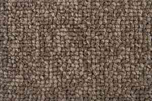 Ковровая плитка Standard Carpets Spectrum sm 545 фото  | FLOORDEALER